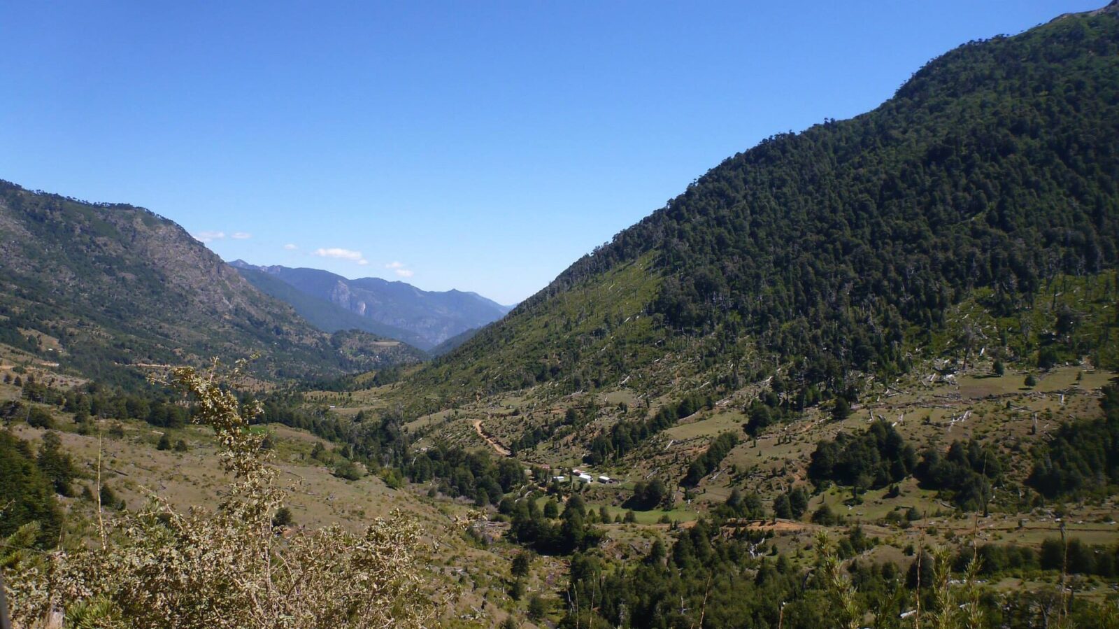Reserva Nacional China Muerta