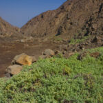 Reserva Nacional La Chimba