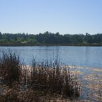 Reserva Nacional Laguna Torca