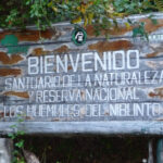 Reserva Nacional Los Huemules de Niblinto