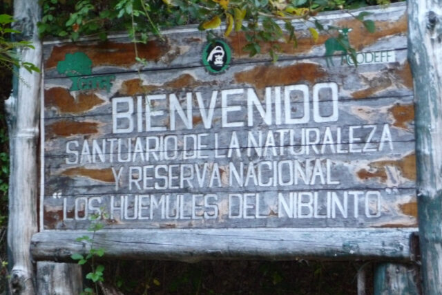 Reserva Nacional Los Huemules del Niblinto