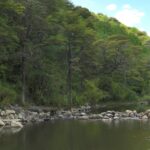 Reserva Nacional Los Ruiles