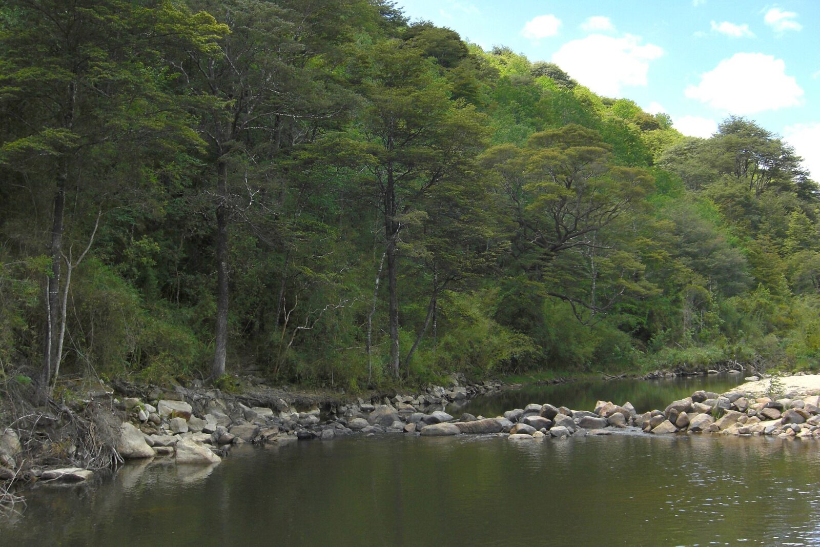 Reserva Nacional Los Ruiles