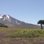 Reserva Nacional Malalcahuello