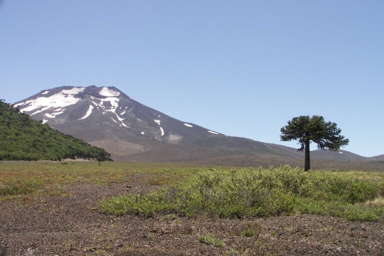 Reserva Nacional Malalcahuello