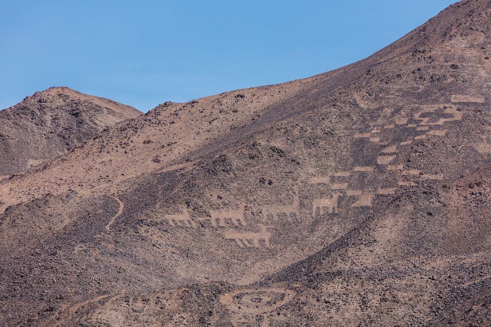 Reserva Nacional Pampa del Tamarugal