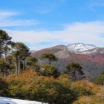 Reserva Nacional Villarrica