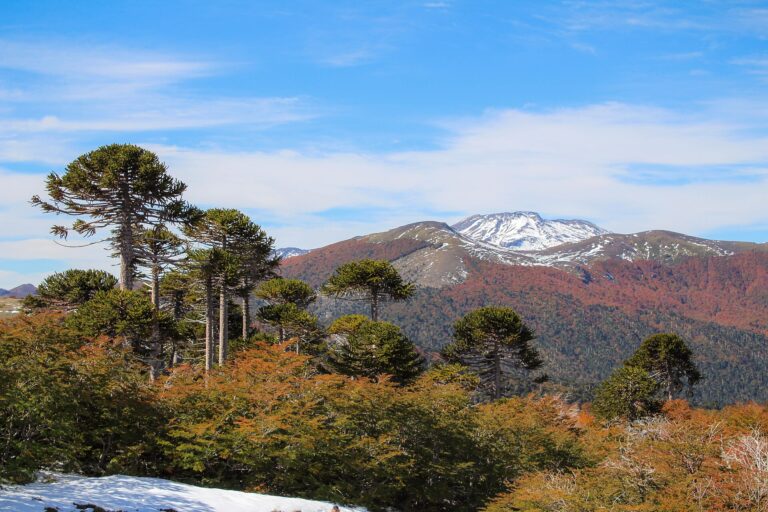 Reserva Nacional Villarrica