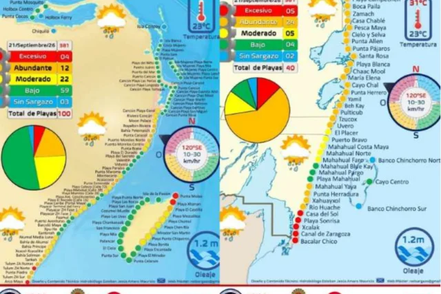 Sargazo persiste en 135 playas de Quintana Roo y el sur concentra la mayor carga