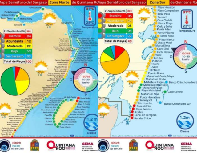 Sargazo persiste en 135 playas de Quintana Roo y el sur concentra la mayor carga