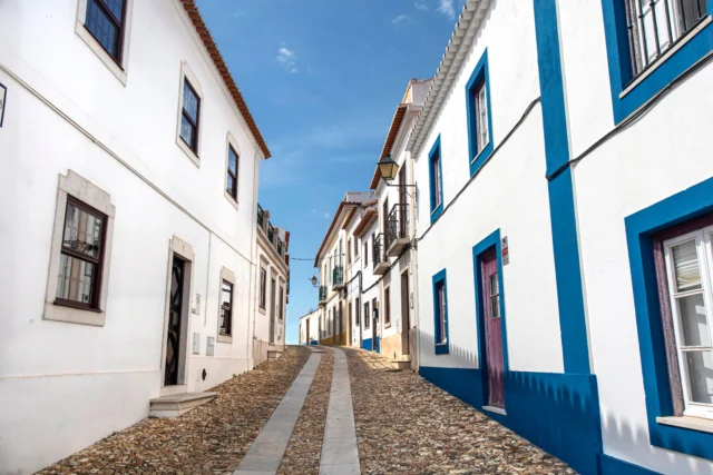 El meloncillo del Alentejo inspira un taller que salva ropa de la basura