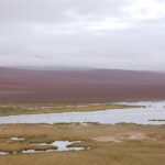 Salar de Pujsa