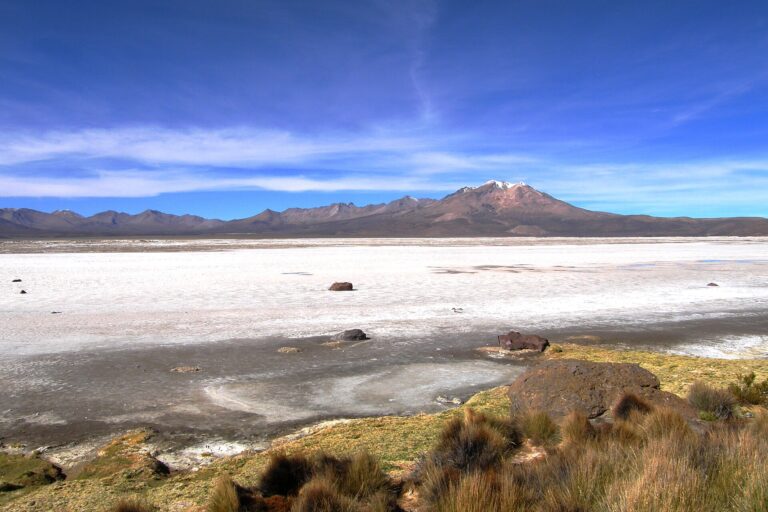 Salar de Surire