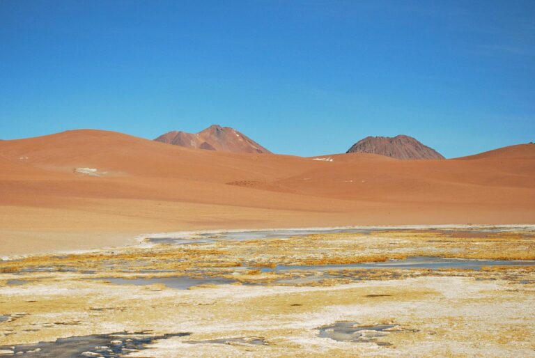 Salar de Tara