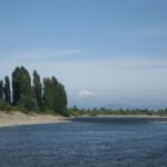 Santuario de la Naturaleza Cajón del Río Achibueno