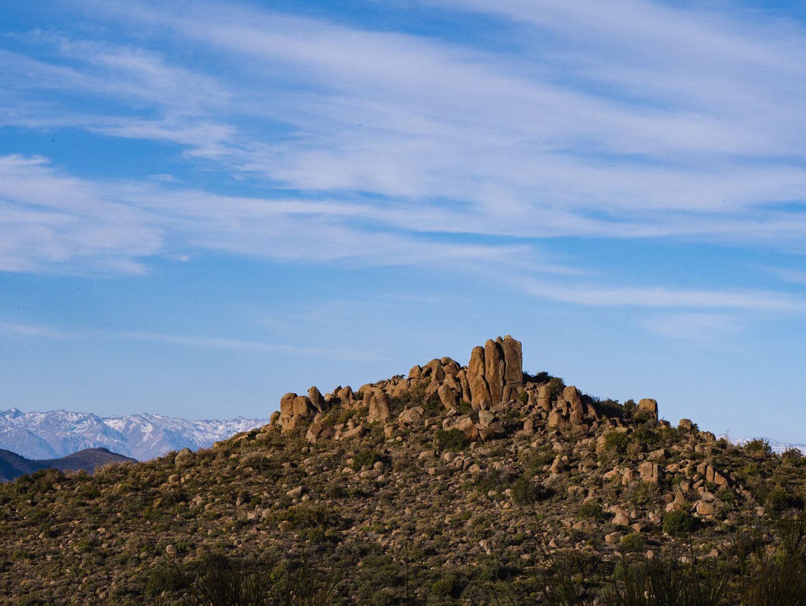 Santuario de la Naturaleza Cerro Poqui