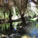 Santuario de la Naturaleza Estero Derecho