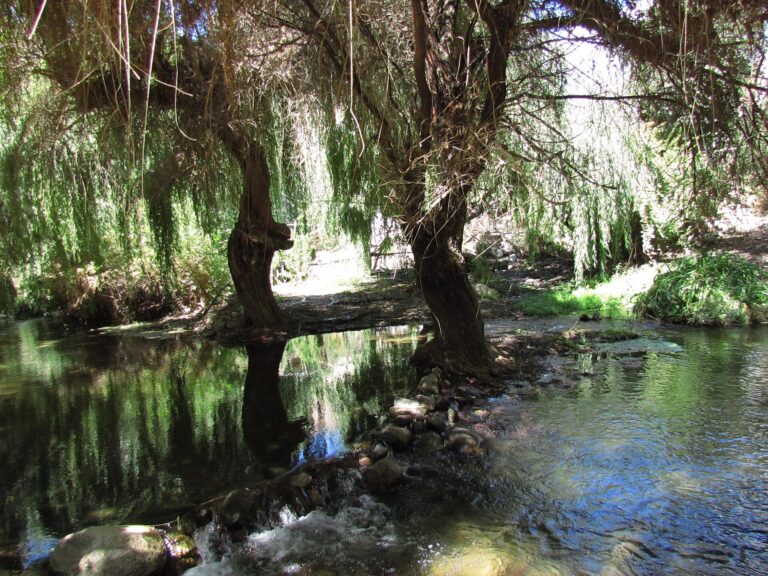 Santuario de la Naturaleza Estero Derecho
