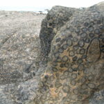 Santuario de la Naturaleza Granito Orbicular