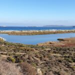 Santuario de la Naturaleza Laguna Conchalí