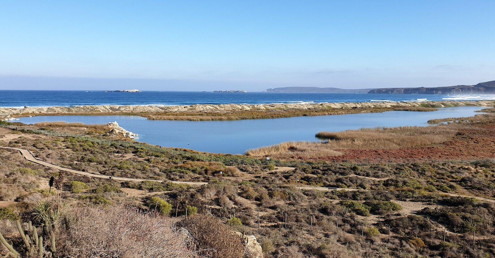 Santuario de la Naturaleza Laguna Conchalí