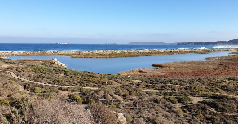 Santuario de la Naturaleza Laguna Conchalí