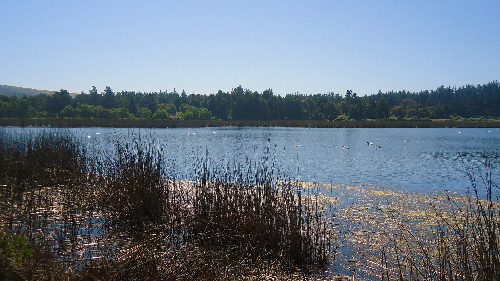 Santuario de la Naturaleza Laguna Torca