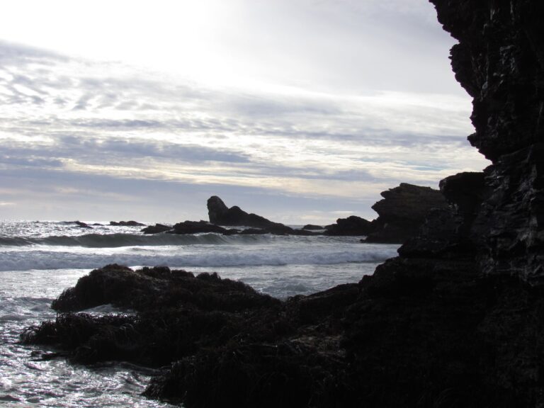 Santuario de la Naturaleza Península de Hualpén