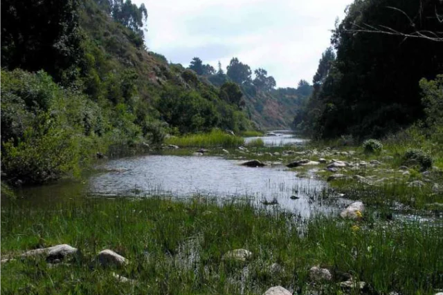 Santuario de la Naturaleza Quebrada de Córdova