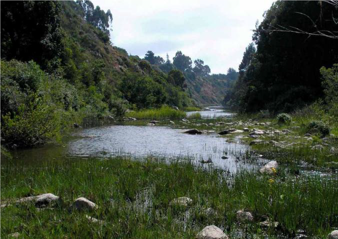 Santuario de la Naturaleza Quebrada de Córdova