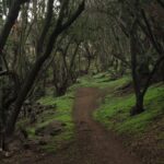 Santuario de la Naturaleza Quebrada de la Plata