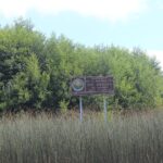Santuario de la Naturaleza Río Cruces y Chorocamayo