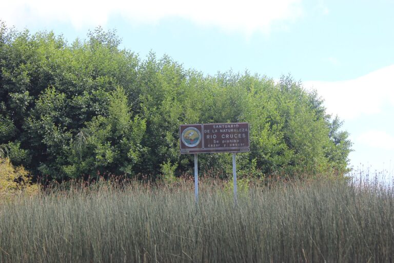 Santuario de la Naturaleza Río Cruces y Chorocamayo