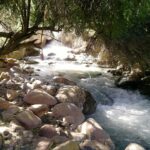 Santuario de la Naturaleza Yerba Loca