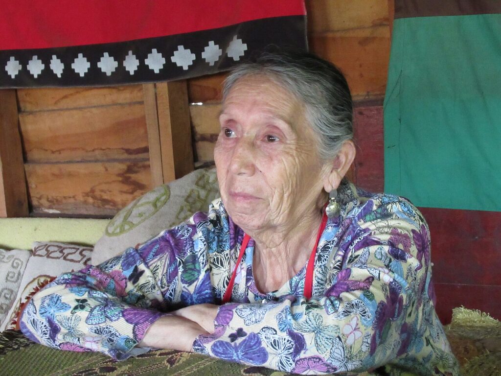 Sonia Catepillán Guinao
