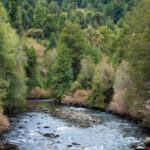 Termas Aguas Calientes