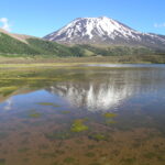 Termas de Malalcahuello