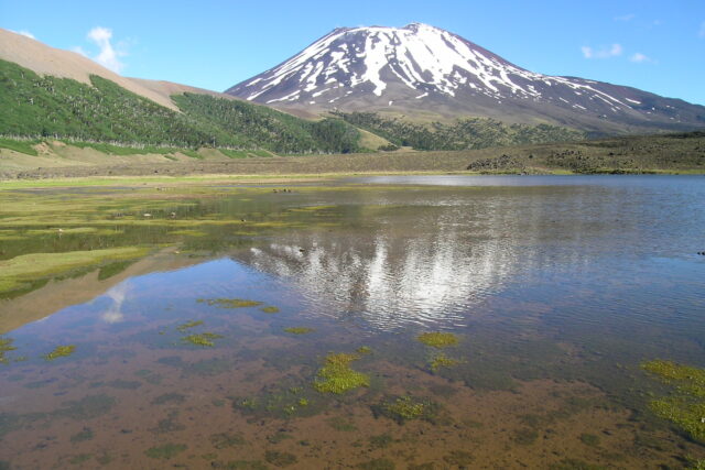 Termas de Malalcahuello
