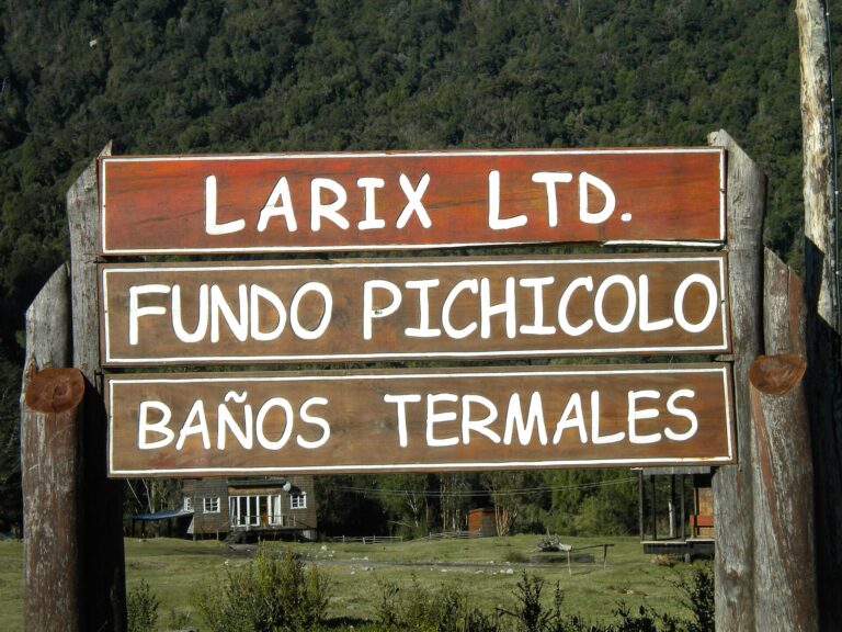 Termas de Pichicolo