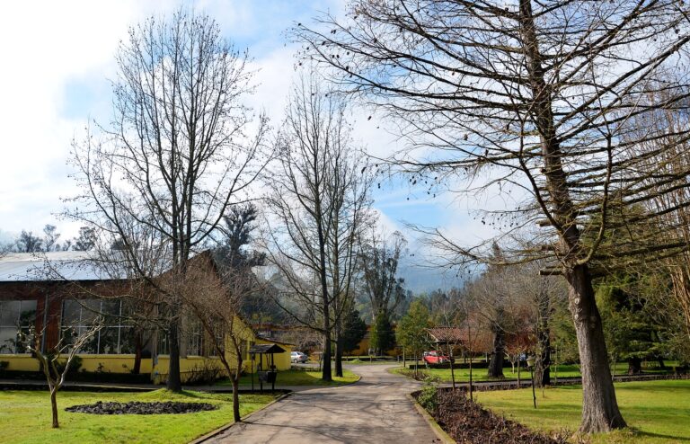 Termas de Quinamávida