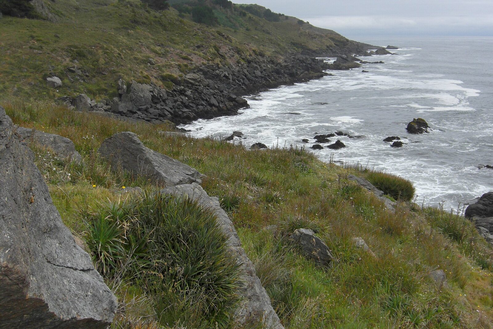 Tirúa