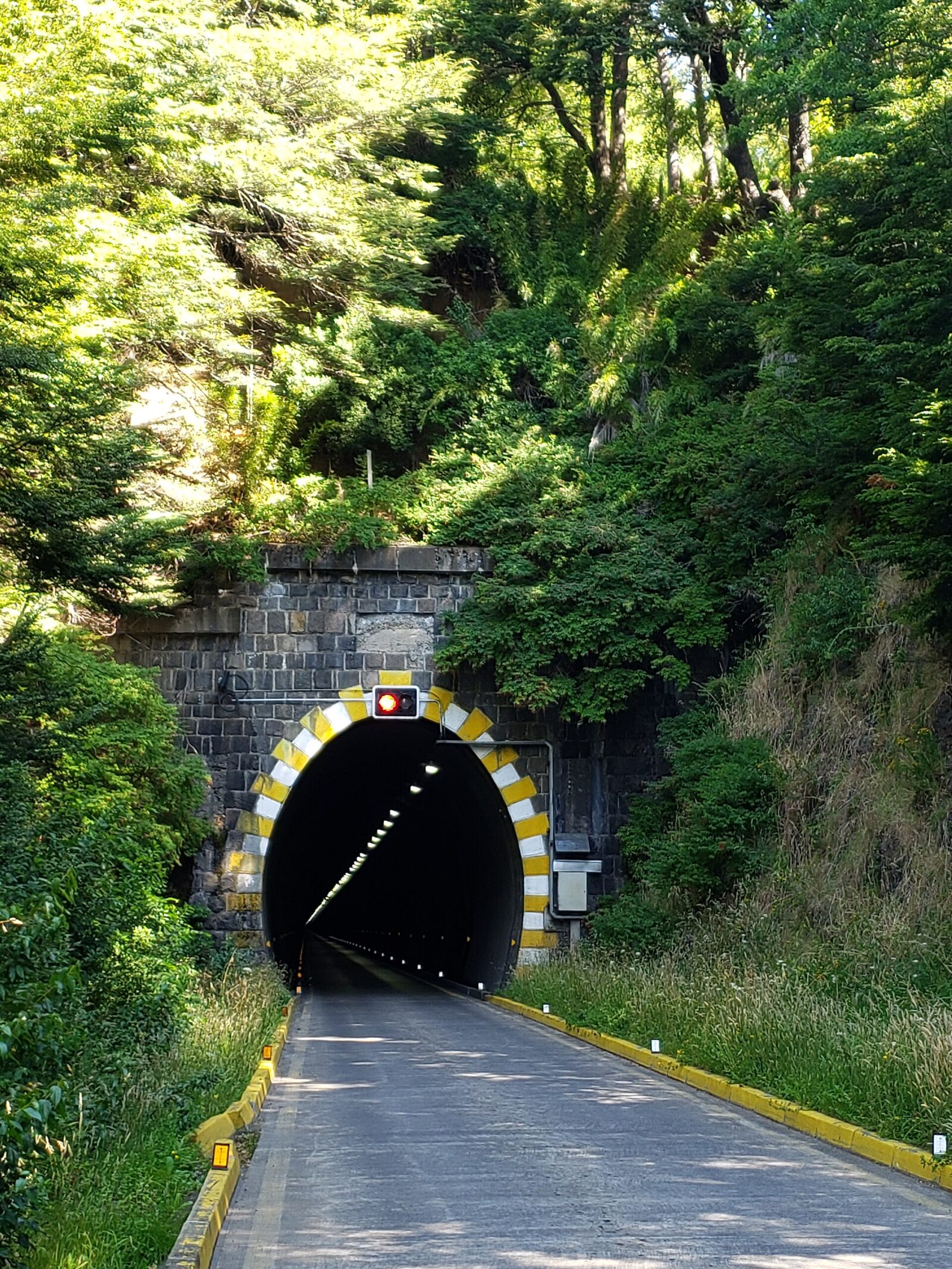 Túnel Las Raíces