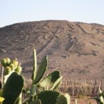 Valle de Azapa