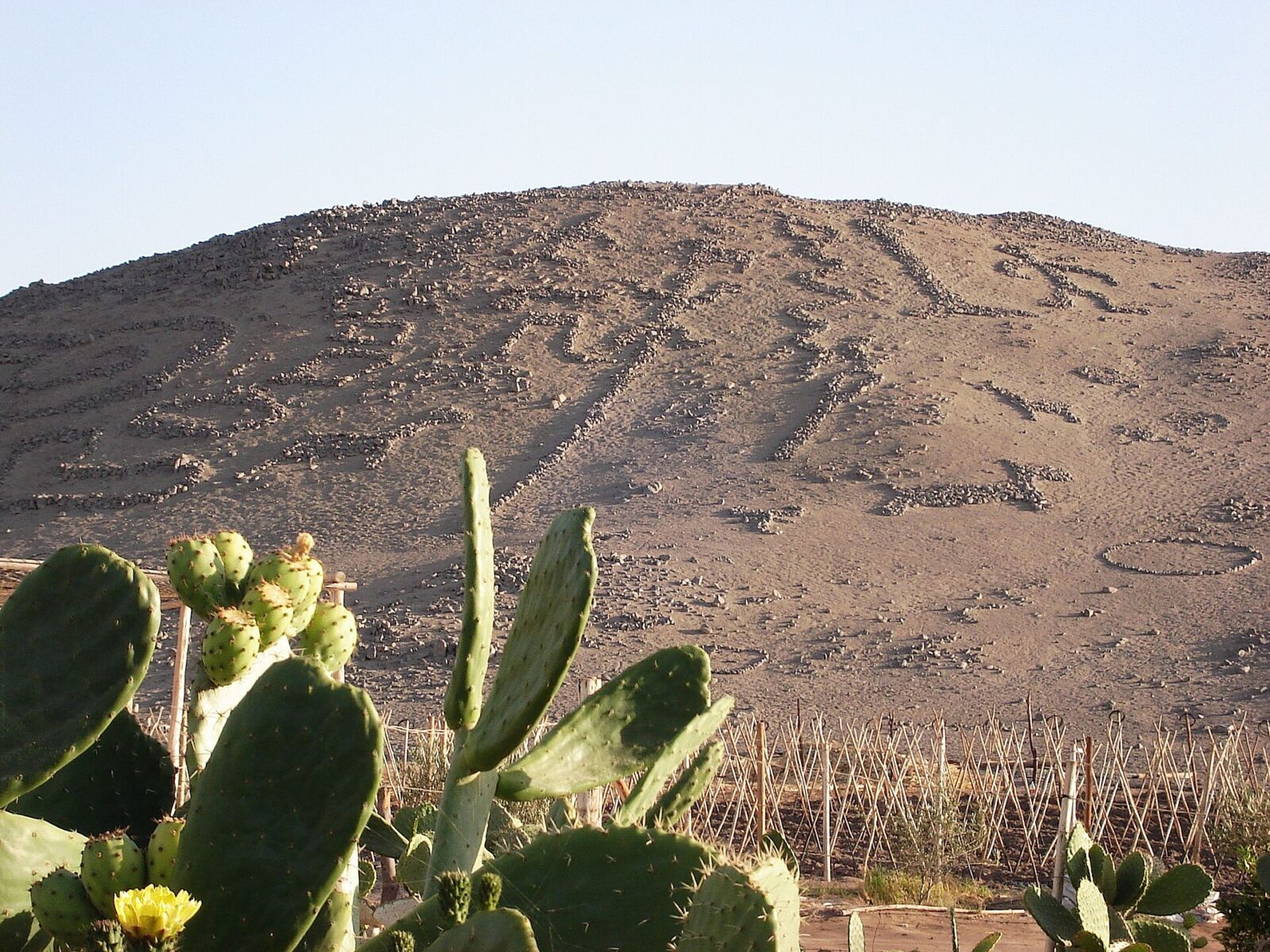 Valle de Azapa