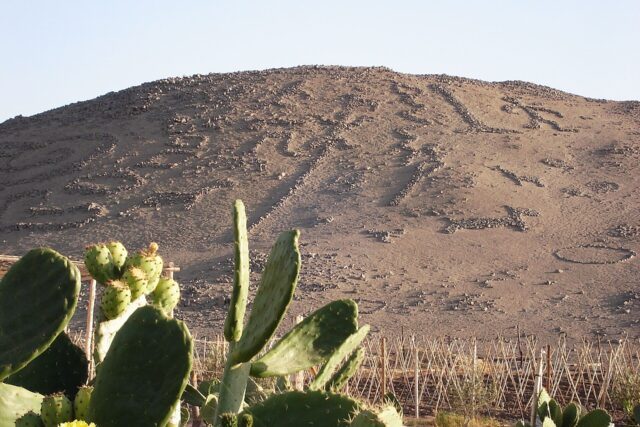 Valle de Azapa