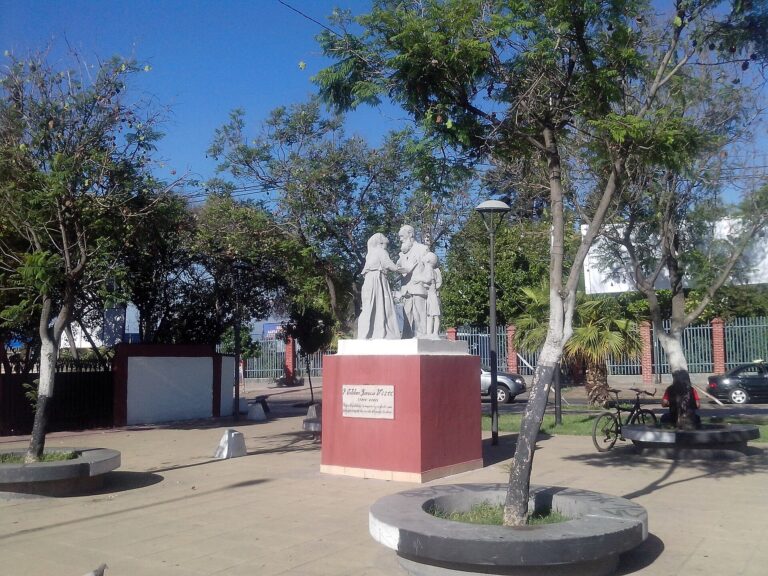 Viña San Esteban