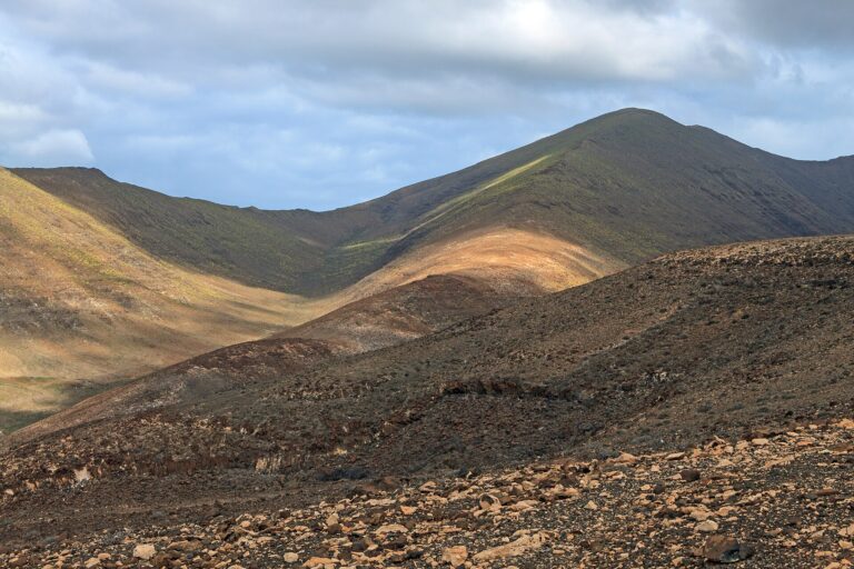 Viñamar