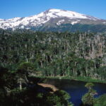 Volcán Copahue
