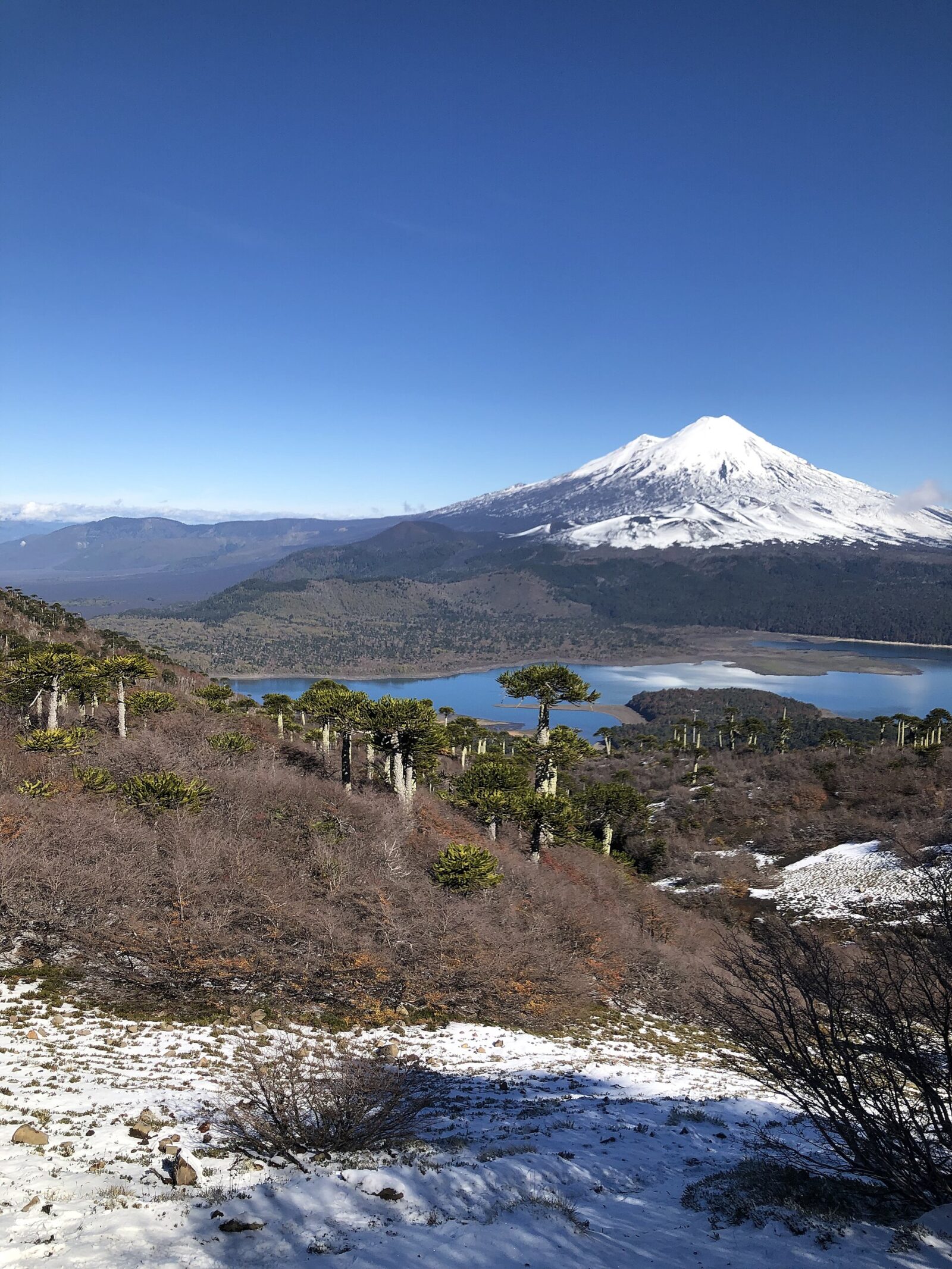 Volcán Llaima