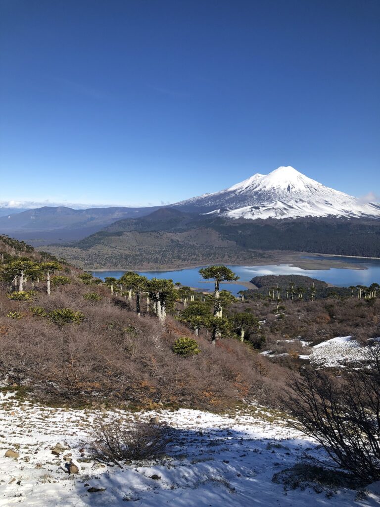 Volcán Llaima